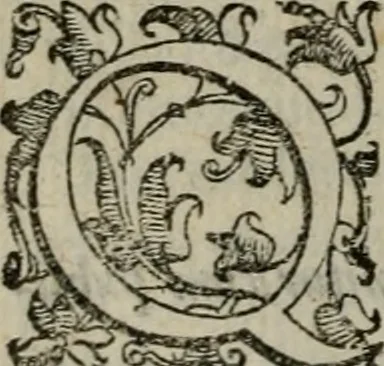 An illustration from Tractatvs lvcvlentvs de iuramento litis decisorio, 1595, leaf 133
