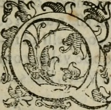 An illustration from Tractatvs lvcvlentvs de iuramento litis decisorio, 1595, leaf 142