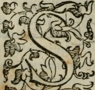 An illustration from Tractatvs lvcvlentvs de iuramento litis decisorio, 1595, leaf 147