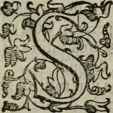 An illustration from Tractatvs lvcvlentvs de iuramento litis decisorio, 1595, leaf 153