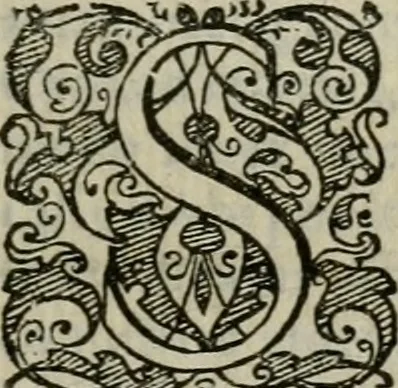 An illustration from Tractatvs lvcvlentvs de iuramento litis decisorio, 1595, leaf 154