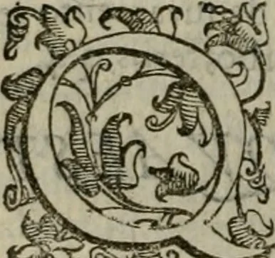 An illustration from Tractatvs lvcvlentvs de iuramento litis decisorio, 1595, leaf 155