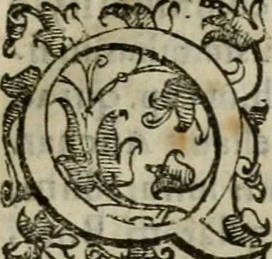 An illustration from Tractatvs lvcvlentvs de iuramento litis decisorio, 1595, leaf 162