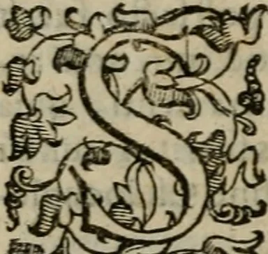 An illustration from Tractatvs lvcvlentvs de iuramento litis decisorio, 1595, leaf 167