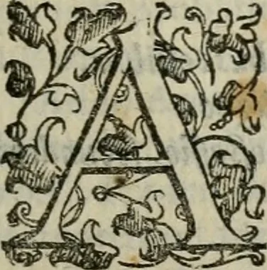 An illustration from Tractatvs lvcvlentvs de iuramento litis decisorio, 1595, leaf 172