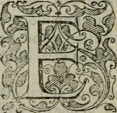 An illustration from Tractatvs lvcvlentvs de iuramento litis decisorio, 1595, leaf 179
