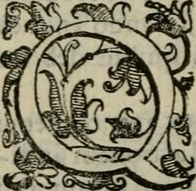 An illustration from Tractatvs lvcvlentvs de iuramento litis decisorio, 1595, leaf 181