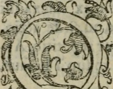 An illustration from Tractatvs lvcvlentvs de iuramento litis decisorio, 1595, leaf 183