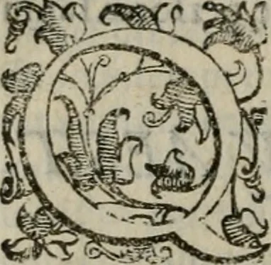 An illustration from Tractatvs lvcvlentvs de iuramento litis decisorio, 1595, leaf 195