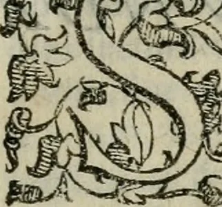 An illustration from Tractatvs lvcvlentvs de iuramento litis decisorio, 1595, leaf 196