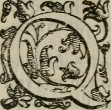 An illustration from Tractatvs lvcvlentvs de iuramento litis decisorio, 1595, leaf 201