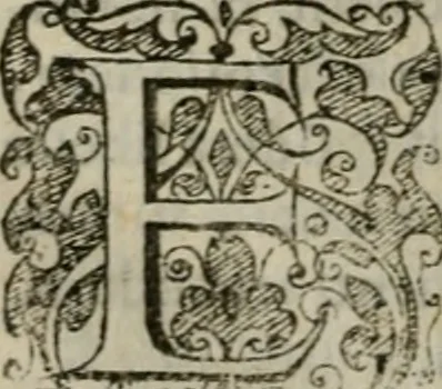 An illustration from Tractatvs lvcvlentvs de iuramento litis decisorio, 1595, leaf 201