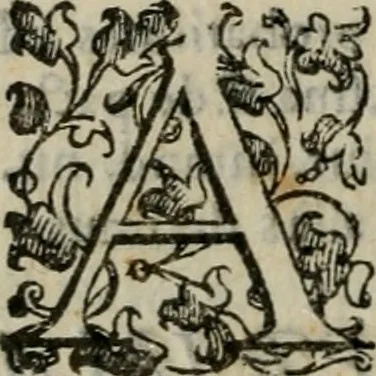 An illustration from Tractatvs lvcvlentvs de iuramento litis decisorio, 1595, leaf 205