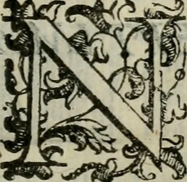 An illustration from Tractatvs lvcvlentvs de iuramento litis decisorio, 1595, leaf 208