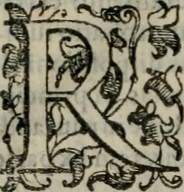 An illustration from Tractatvs lvcvlentvs de iuramento litis decisorio, 1595, leaf 209