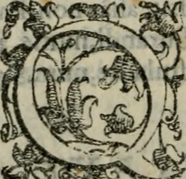 An illustration from Tractatvs lvcvlentvs de iuramento litis decisorio, 1595, leaf 209