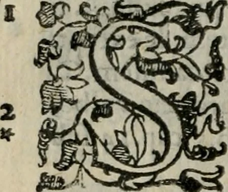 An illustration from Tractatvs lvcvlentvs de iuramento litis decisorio, 1595, leaf 211