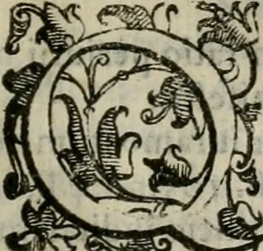 An illustration from Tractatvs lvcvlentvs de iuramento litis decisorio, 1595, leaf 216