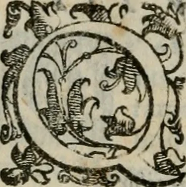 An illustration from Tractatvs lvcvlentvs de iuramento litis decisorio, 1595, leaf 217