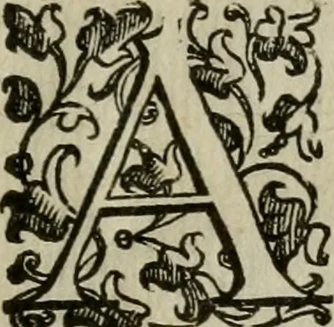 An illustration from Tractatvs lvcvlentvs de iuramento litis decisorio, 1595, leaf 218