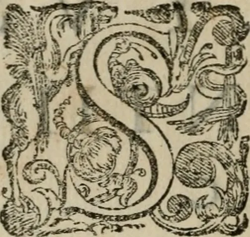 An illustration from Tractatvs lvcvlentvs de iuramento litis decisorio, 1595, leaf 37