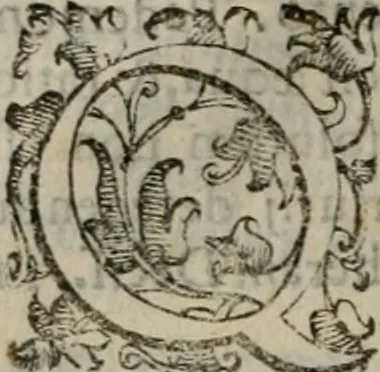 An illustration from Tractatvs lvcvlentvs de iuramento litis decisorio, 1595, leaf 43