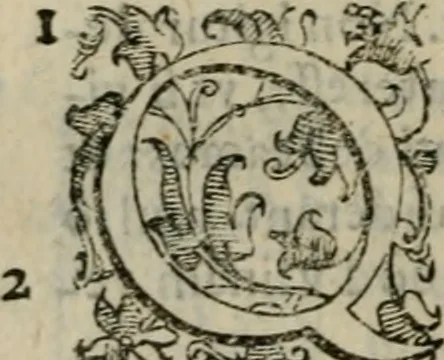 An illustration from Tractatvs lvcvlentvs de iuramento litis decisorio, 1595, leaf 45