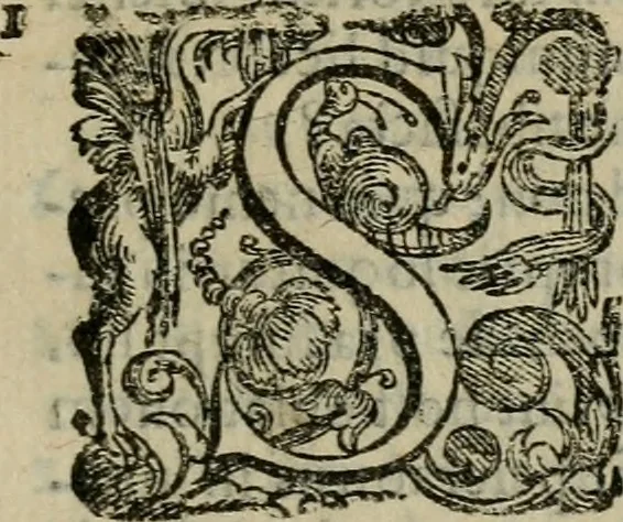 An illustration from Tractatvs lvcvlentvs de iuramento litis decisorio, 1595, leaf 46