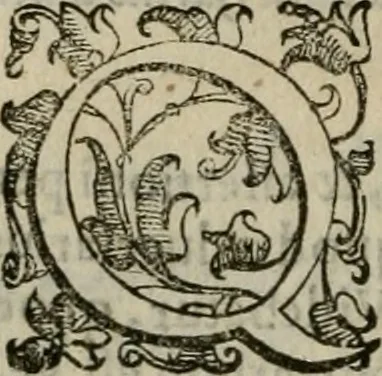 An illustration from Tractatvs lvcvlentvs de iuramento litis decisorio, 1595, leaf 47
