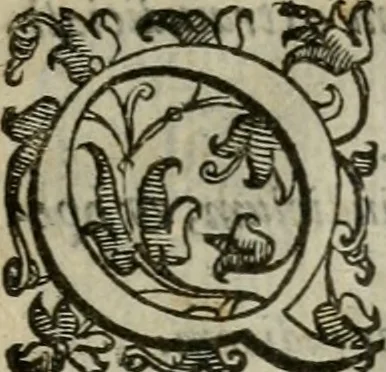 An illustration from Tractatvs lvcvlentvs de iuramento litis decisorio, 1595, leaf 52