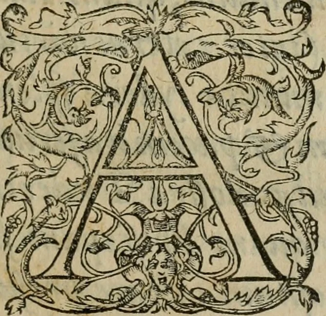 An illustration from Tractatvs lvcvlentvs de iuramento litis decisorio, 1595, leaf 6