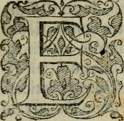 An illustration from Tractatvs lvcvlentvs de iuramento litis decisorio, 1595, leaf 72