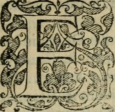 An illustration from Tractatvs lvcvlentvs de iuramento litis decisorio, 1595, leaf 88
