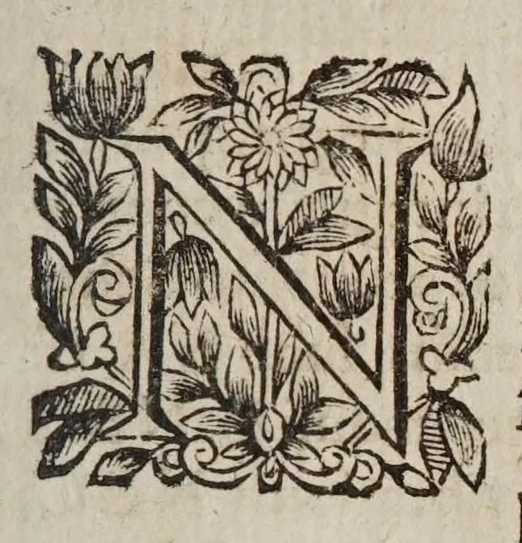 An illustration from Tractatvs physicvs de motv locali : in qvo effectvs omnes, qvi ad impetvm, motum naturalem, violentum, & mixtum pertinent, explicantur, & ex principiis physicis demonstrantur., 1646, leaf 347