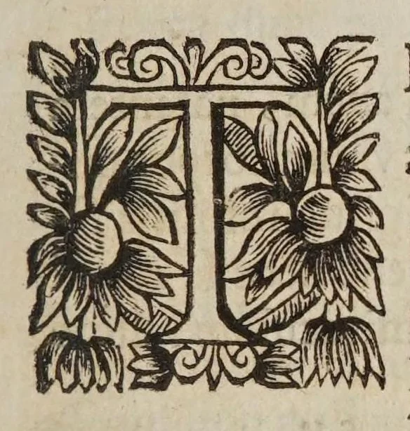 An illustration from Tractatvs physicvs de motv locali : in qvo effectvs omnes, qvi ad impetvm, motum naturalem, violentum, & mixtum pertinent, explicantur, & ex principiis physicis demonstrantur., 1646, leaf 39