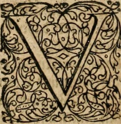 An illustration from Tractatvs politico-juridicus de ivre mercatorum et commerciorum singvlari, 1662, leaf 1297