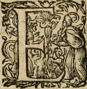 An illustration from Tractatvs politico-juridicus de ivre mercatorum et commerciorum singvlari, 1662, leaf 755
