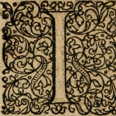 An illustration from Tractatvs politico-juridicus de ivre mercatorum et commerciorum singvlari, 1662, leaf 777