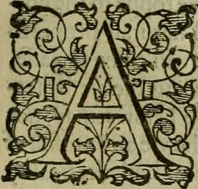 An illustration from A tracte containing the artes of curious paintinge, caruinge & buildinge, 1598, leaf 108