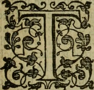 An illustration from A tracte containing the artes of curious paintinge, caruinge & buildinge, 1598, leaf 116