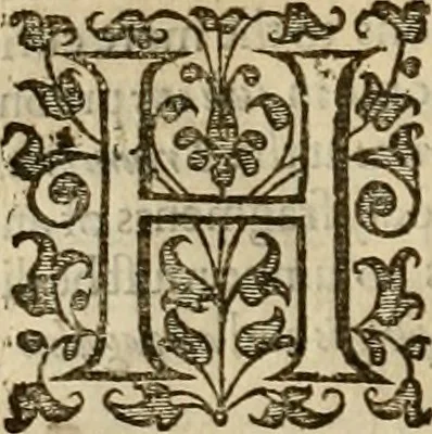 An illustration from A tracte containing the artes of curious paintinge, caruinge & buildinge, 1598, leaf 119