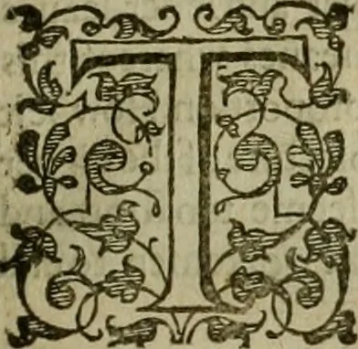 An illustration from A tracte containing the artes of curious paintinge, caruinge & buildinge, 1598, leaf 124