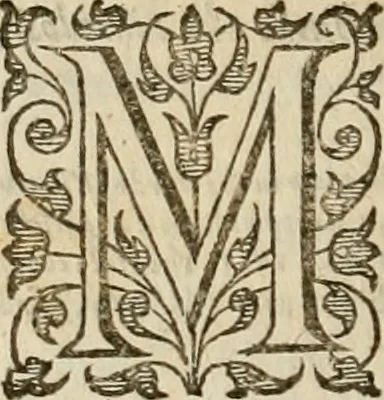 An illustration from A tracte containing the artes of curious paintinge, caruinge & buildinge, 1598, leaf 135