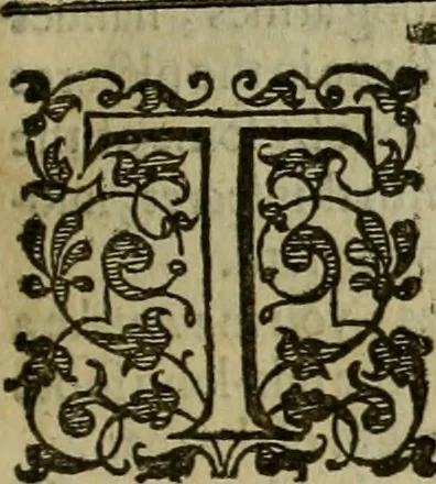 An illustration from A tracte containing the artes of curious paintinge, caruinge & buildinge, 1598, leaf 142