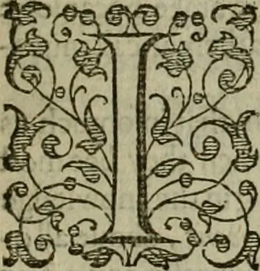 An illustration from A tracte containing the artes of curious paintinge, caruinge & buildinge, 1598, leaf 148