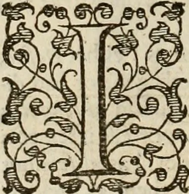 An illustration from A tracte containing the artes of curious paintinge, caruinge & buildinge, 1598, leaf 157