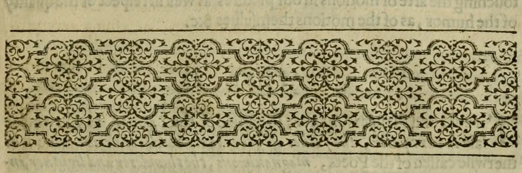 An illustration from A tracte containing the artes of curious paintinge, caruinge & buildinge, 1598, leaf 164