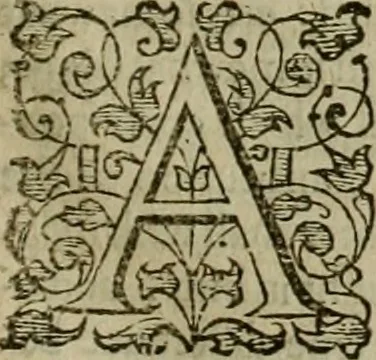 An illustration from A tracte containing the artes of curious paintinge, caruinge & buildinge, 1598, leaf 164