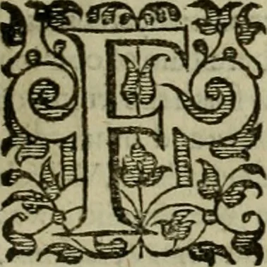 An illustration from A tracte containing the artes of curious paintinge, caruinge & buildinge, 1598, leaf 176