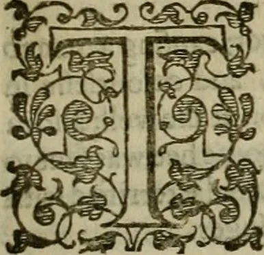An illustration from A tracte containing the artes of curious paintinge, caruinge & buildinge, 1598, leaf 180